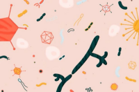 Graphic drawing microbiomes